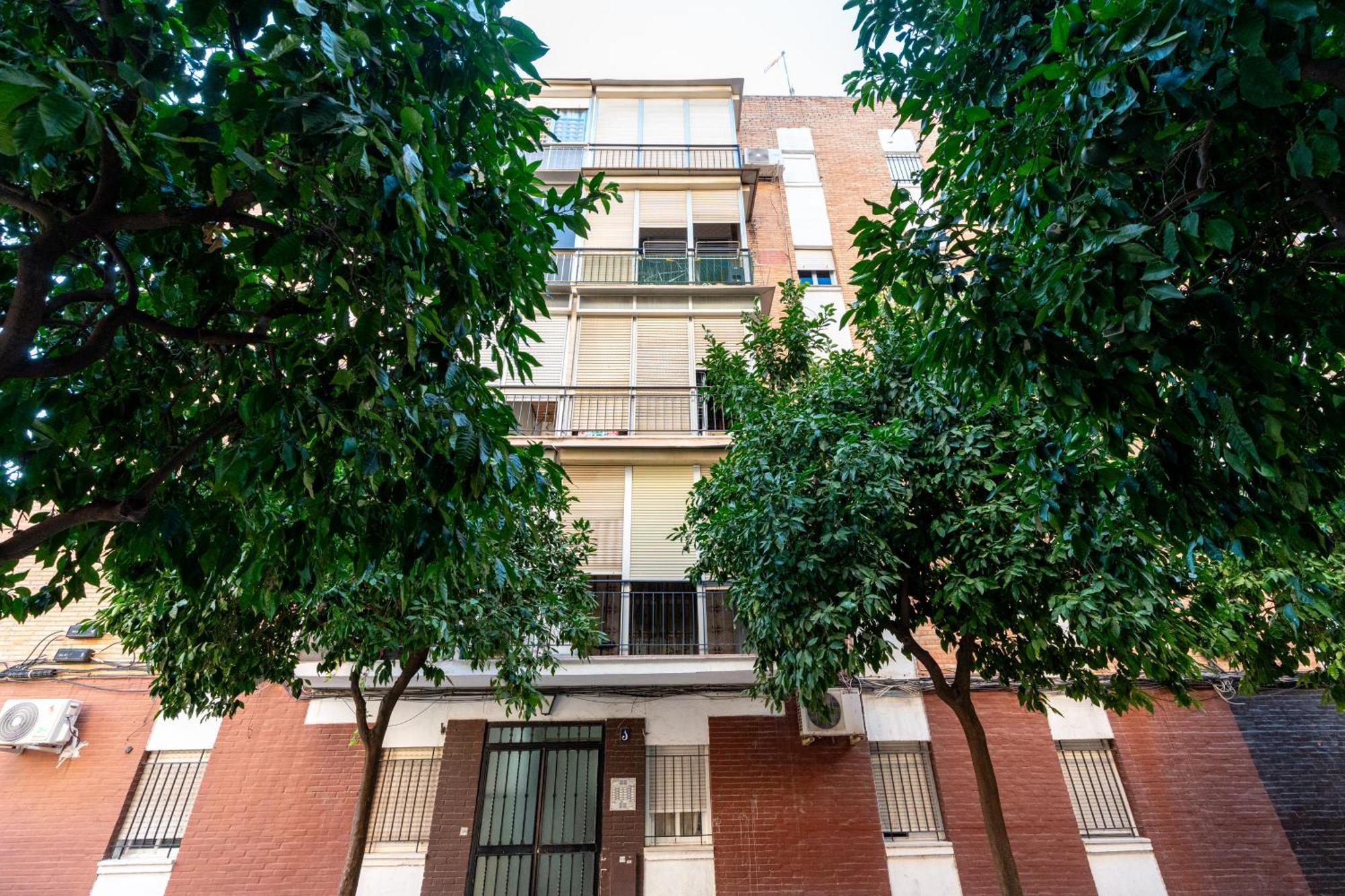 Piso Elegante Y Nuevo De 3 Habitaciones Y 2 Banos إشبيلية المظهر الخارجي الصورة