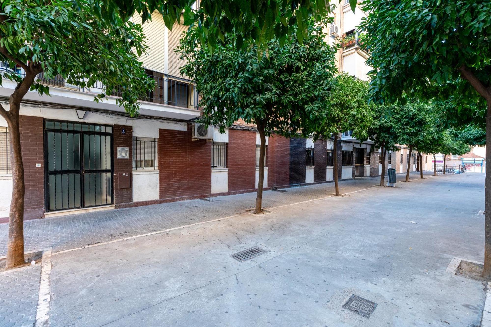 Piso Elegante Y Nuevo De 3 Habitaciones Y 2 Banos إشبيلية المظهر الخارجي الصورة